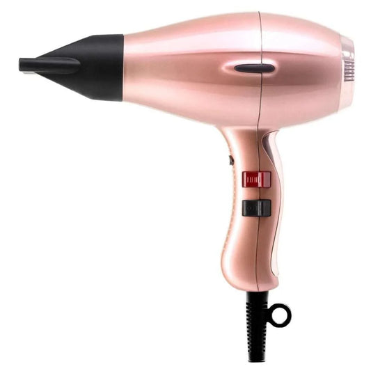3900 HEALTHY IONIC: POWERFUL PROFESSIONAL HAIR DRYER