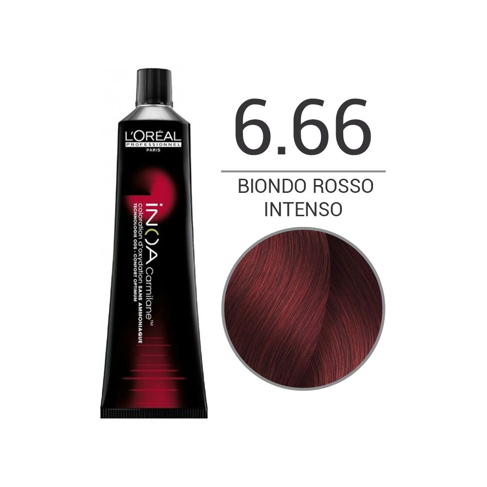 L'OREAL PROFESSIONNEL INOA TINTA